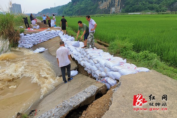 抗洪抢险，双牌县团员青年在一线