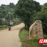 村村向上⑮｜资阳新花园村：念好苗木种植“致富经”