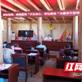 湘西州医保局开展“不忘初心 牢记使命”主题党日活动