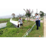 谢志辉在东山镇调研政法综治等工作