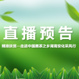 直播预告｜13日红网时刻邀您参与“精准扶贫—走进中国黑茶之乡湖南安化采风行”