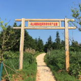 安徽庐江乐华村：靛青蓝莓高高挂，美了乡村，富了农家