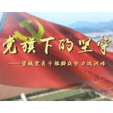 致敬！抗洪一线，那些令人骄傲的“望城力量”
