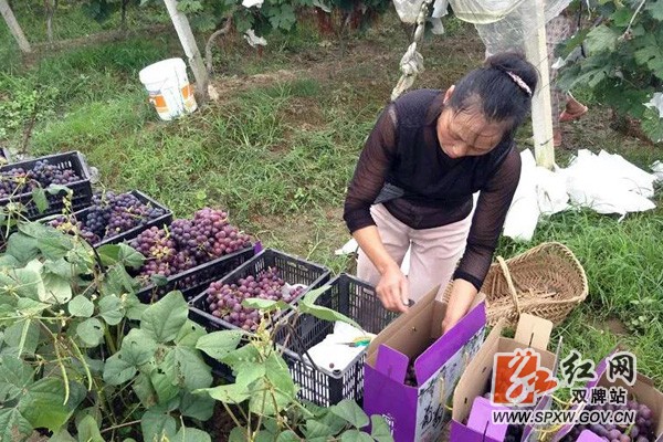 微信图片_20190711174813.jpg