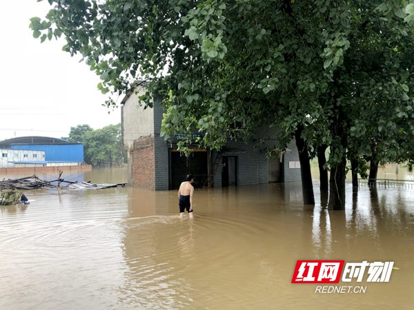 501921090064445386.jpg 501921090064445386.jpg