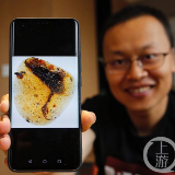 中国古生物学家领衔在琥珀中发现古鸟类新物种