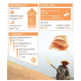 种地，咱紧盯着“供给侧”