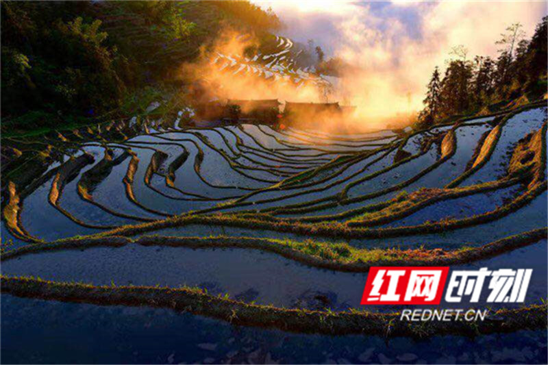 紫鹊界梯田位于中国湖南省娄底市新化县水车镇，是国家AAAA旅游景区、国家级风景名胜区、国家自然与文化双遗产、世界灌溉工程遗产、全球重要农业文化遗产。