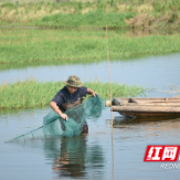 村村向上⑰丨大通湖北胜村：人尽其才 地尽其优，让年轻人长于田间