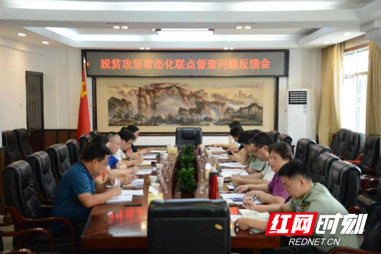 省脱贫攻坚常态化联点督查第十九组到永定区开展督查工作