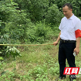 心系家乡安全 劳模请假返家抗洪防汛