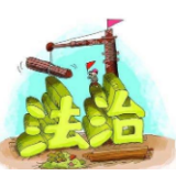 村规民约搞连坐，自治不能脱离法治