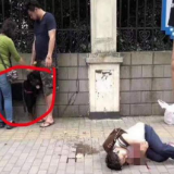 上海男子遛大型犬未戴嘴套咬伤日籍女士，被罚200元
