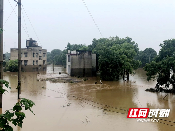 5776756545654081.jpg 5776756545654081.jpg