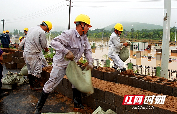 2019?7?12????????????????????????? ??.JPG