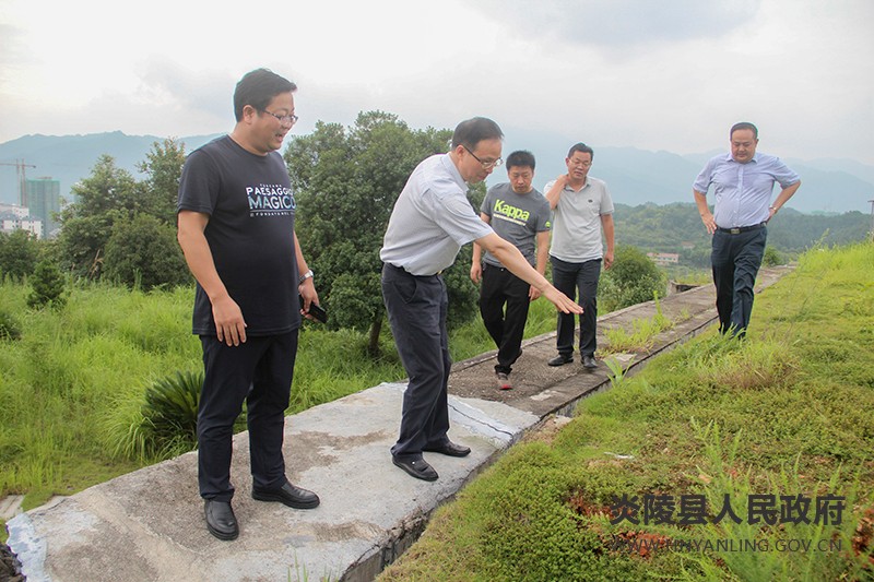 文专文现场督查地质灾害隐患防治工作_炎陵县_湖南频道_红网