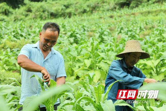致富小妙招(致富的100种方法)