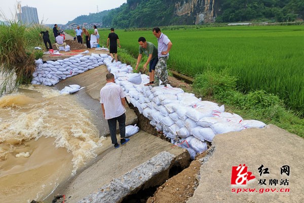 舍小家顾大家，洪峰过境更显责任担当