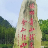 动图解丨习近平绿水青山“话中画”