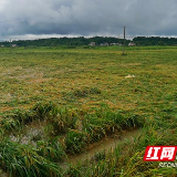 永州市农业农村局：践行初心和使命 全力做好抗灾救灾工作