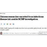 关注 | 华裔病毒学家被加拿大情报部门带离国家实验室