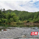 重现碧水青山 阳明山开展灾后清扫大行动