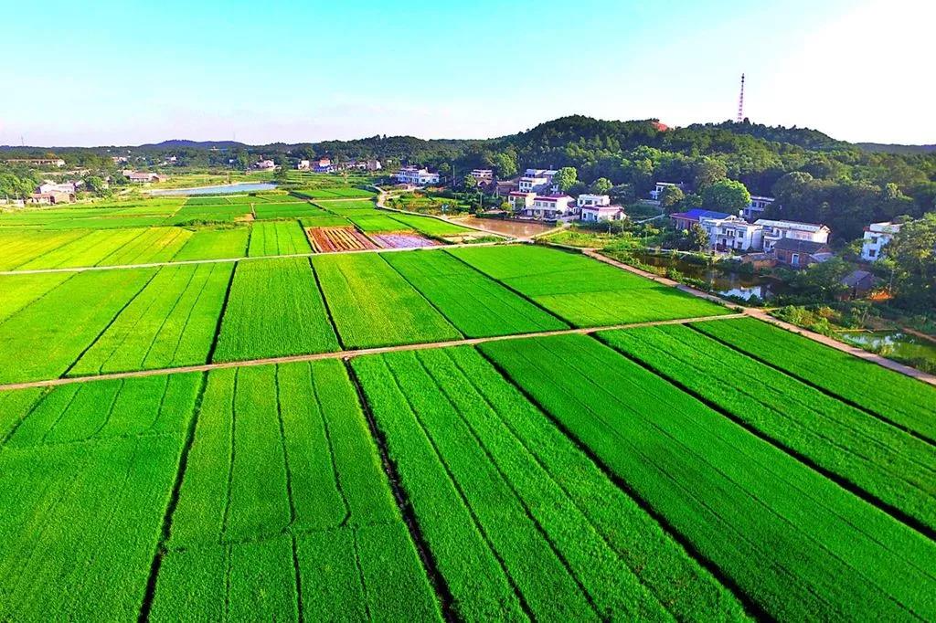 韶山市银田村进入全国乡村旅游重点村名录乡村公示名单