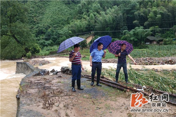 周新华到江村镇指导抗洪救灾工作