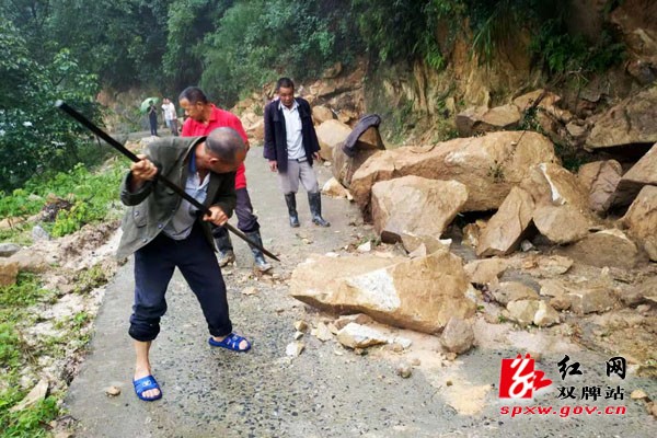 茶林镇干部群众众志成城抗洪抢险纪实