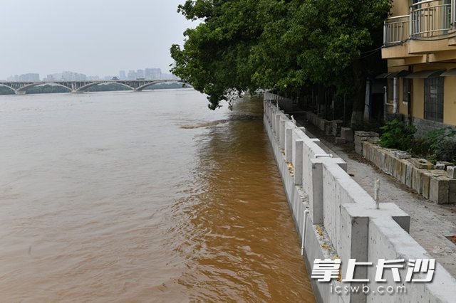 10日，在湘江东岸，水面离防洪墙堤顶还有2米多距离。长沙晚报全媒体记者 王志伟 摄