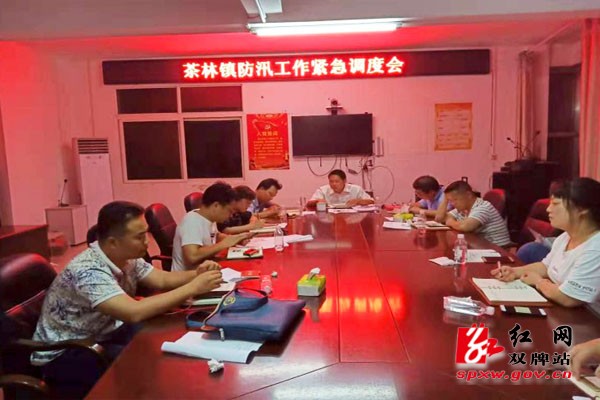 茶林镇干部群众众志成城抗洪抢险纪实