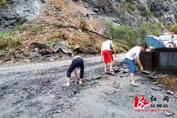 茶林镇干部群众众志成城抗洪抢险纪实
