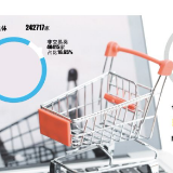 长沙网民上半年网购超220亿元