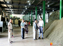 中国人民大学茶道哲学研究所考察桃源茶产业