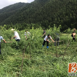 双牌大地掀起新时代文明实践志愿服务活动热潮