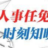 马朝旭任外交部副部长，张军被免去外交部部长助理一职