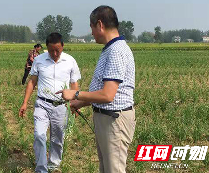 把扶贫当作自家事情办 记中国人寿帮扶工作队队员陈登华