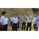 钱丹青到东山镇开展巡江暨防汛工作检查