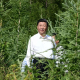 他爬坡穿林 就是为了看看这道屏障