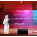 太极、书法、国画、剪纸——中俄青年的“中国日”