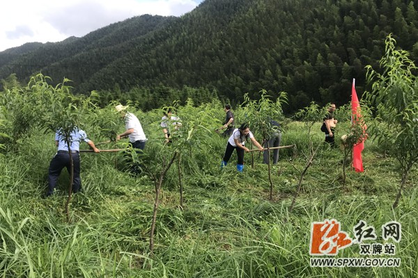 双牌大地掀起新时代文明实践志愿服务活动热潮