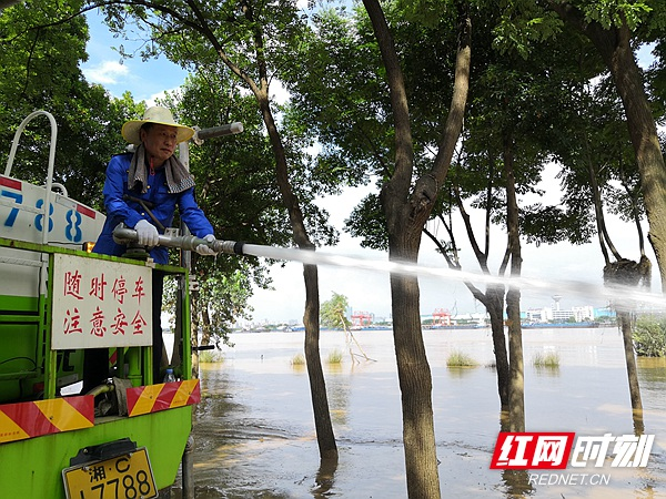 湘潭城管人杨梅洲里清淤忙（组图）