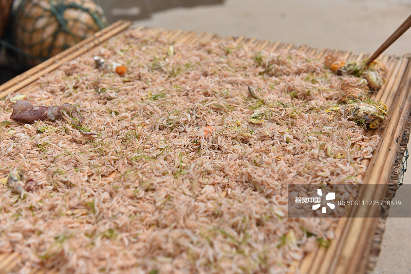 2019年7月16日，山东省日照海滨国家森林公园内的海边，郭长海的妻子刘相玲在晾晒小虾。