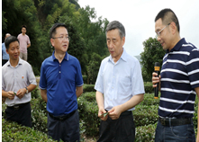 省政协副主席戴道晋来桃源县调研