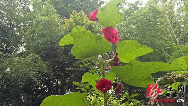 微信图片_20190716165325.jpg