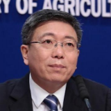 农业农村部：猪瘟疫情得到有效控制，24省解除疫区封锁
