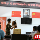 龙山：开展中蜂技术培训 为建档立卡户“造血”