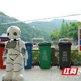 中了垃圾分类的毒？别怕！机器人帮你解围