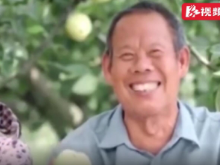 视频丨盛夏的果实 脱贫的基石