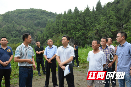 祝云武调研杨家溪村美丽乡村建设情况